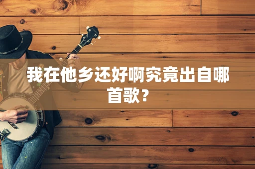 我在他乡还好啊究竟出自哪首歌？