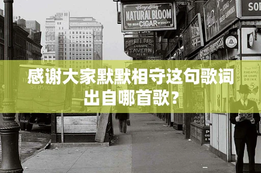 感谢大家默默相守这句歌词出自哪首歌？