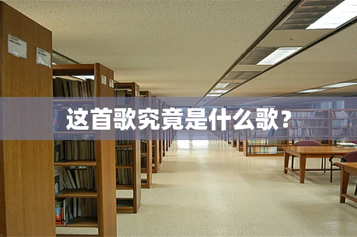 这首歌究竟是什么歌？