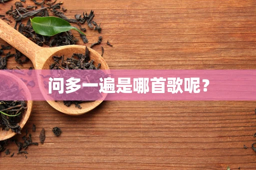 问多一遍是哪首歌呢？