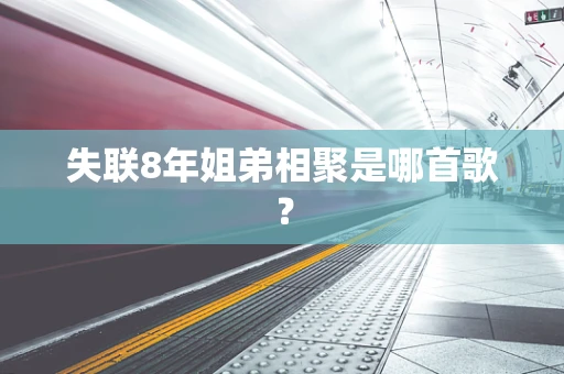 失联8年姐弟相聚是哪首歌？