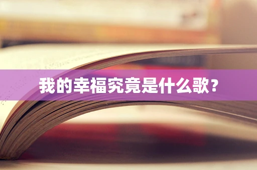 我的幸福究竟是什么歌？