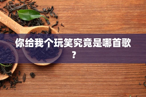 你给我个玩笑究竟是哪首歌？