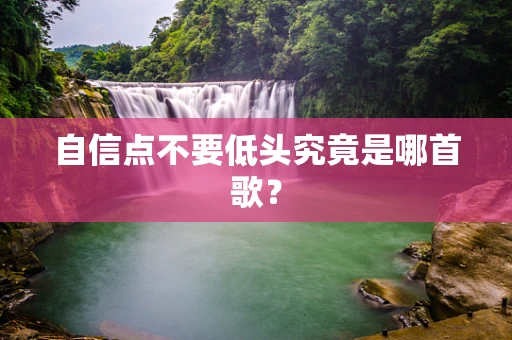 自信点不要低头究竟是哪首歌？