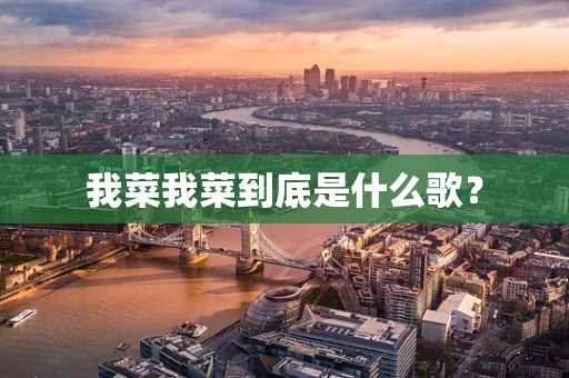 我菜我菜到底是什么歌？