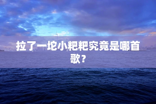 拉了一坨小粑粑究竟是哪首歌？