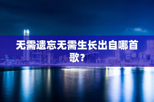 无需遗忘无需生长出自哪首歌？