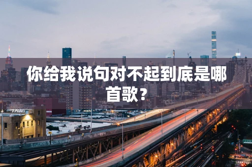你给我说句对不起到底是哪首歌？