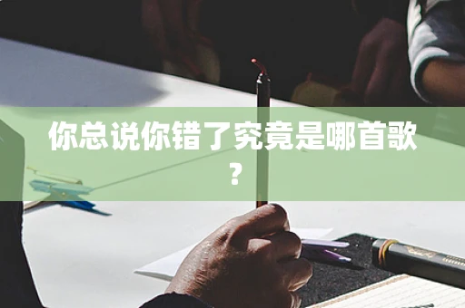 你总说你错了究竟是哪首歌？