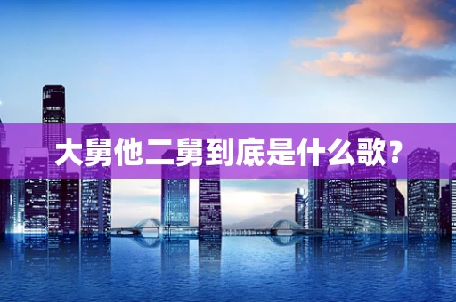 大舅他二舅到底是什么歌？