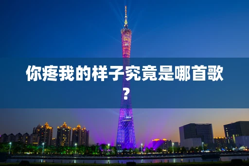 你疼我的样子究竟是哪首歌？