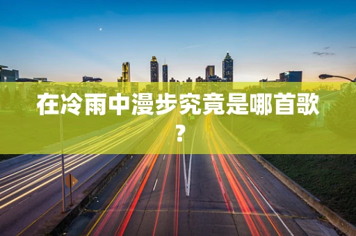 在冷雨中漫步究竟是哪首歌？