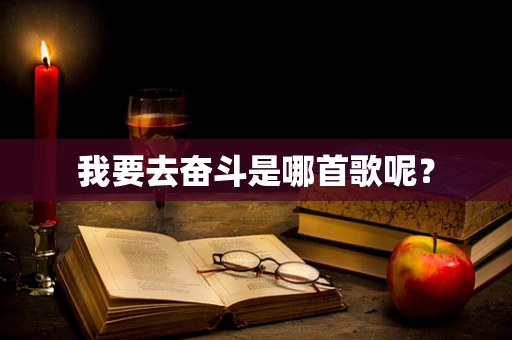 我要去奋斗是哪首歌呢？
