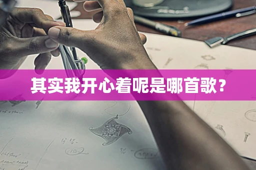 其实我开心着呢是哪首歌？