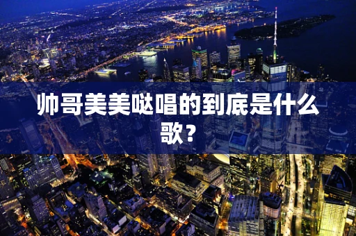 帅哥美美哒唱的到底是什么歌？
