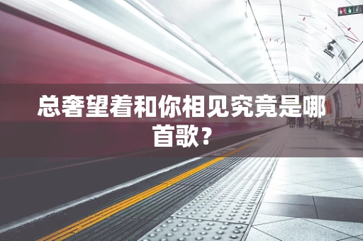 总奢望着和你相见究竟是哪首歌？