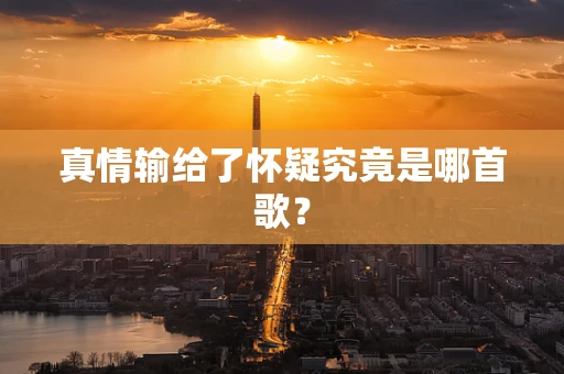 真情输给了怀疑究竟是哪首歌？