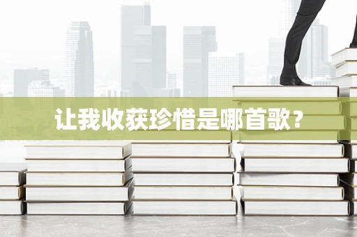 让我收获珍惜是哪首歌？