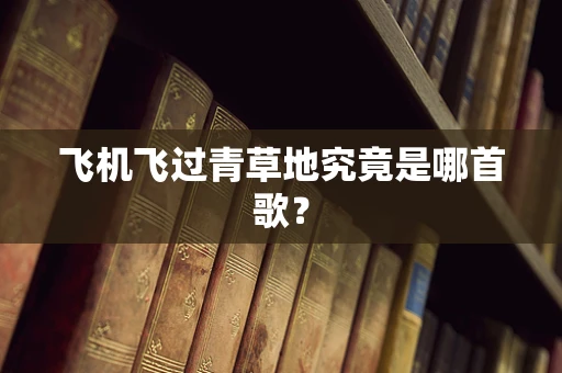 飞机飞过青草地究竟是哪首歌？