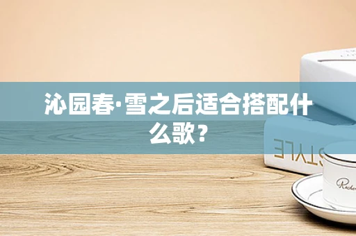沁园春·雪之后适合搭配什么歌？