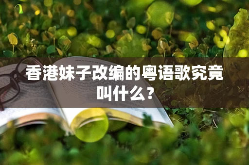 香港妹子改编的粤语歌究竟叫什么？
