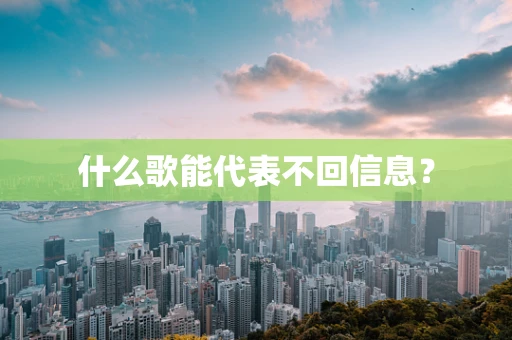什么歌能代表不回信息？