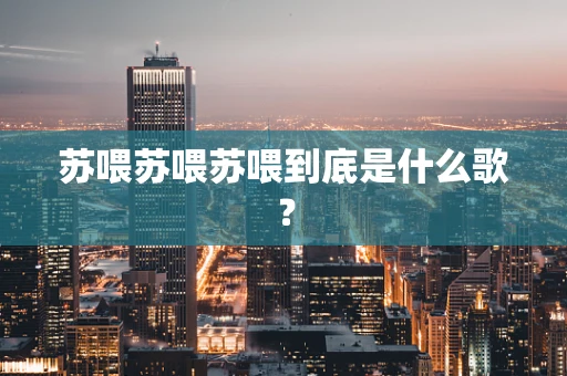 苏喂苏喂苏喂到底是什么歌？