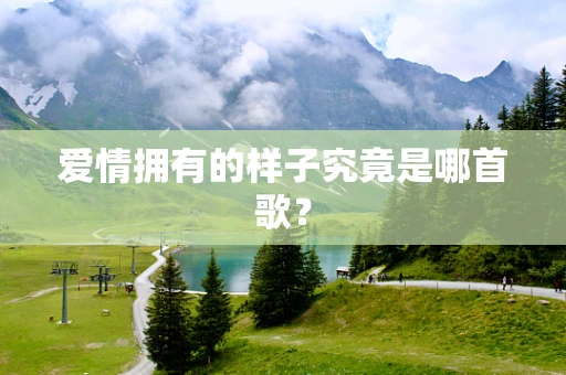 爱情拥有的样子究竟是哪首歌？