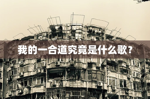 我的一合道究竟是什么歌？