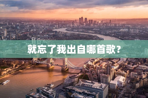 就忘了我出自哪首歌？