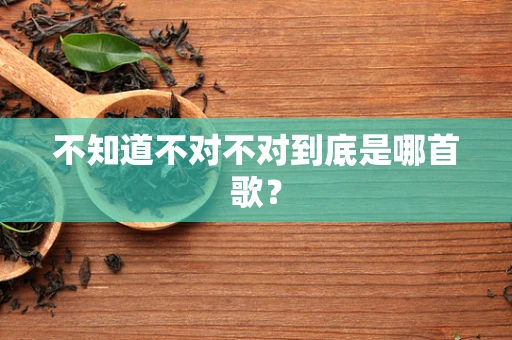 不知道不对不对到底是哪首歌？