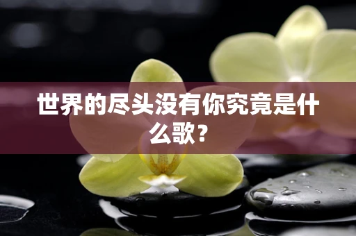 世界的尽头没有你究竟是什么歌？