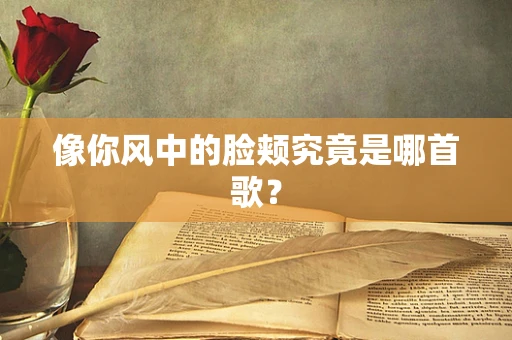 像你风中的脸颊究竟是哪首歌？