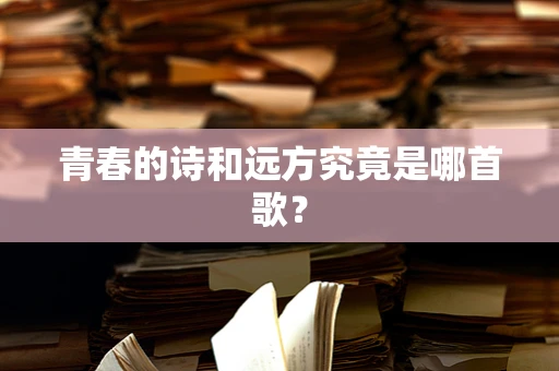 青春的诗和远方究竟是哪首歌？