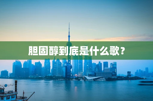 胆固醇到底是什么歌？