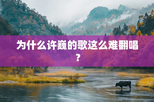 为什么许巍的歌这么难翻唱？