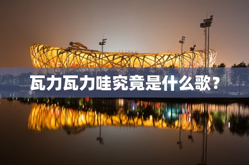 瓦力瓦力哇究竟是什么歌？