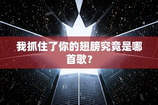 我抓住了你的翅膀究竟是哪首歌？