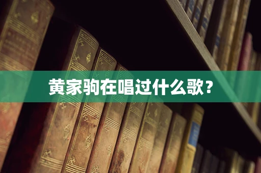 黄家驹在唱过什么歌？