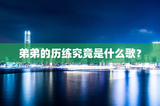 弟弟的历练究竟是什么歌？