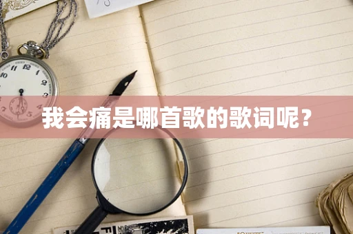 我会痛是哪首歌的歌词呢？