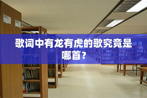 歌词中有龙有虎的歌究竟是哪首？