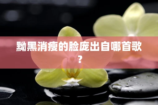 黝黑消瘦的脸庞出自哪首歌？