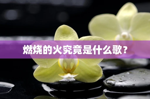 燃烧的火究竟是什么歌？