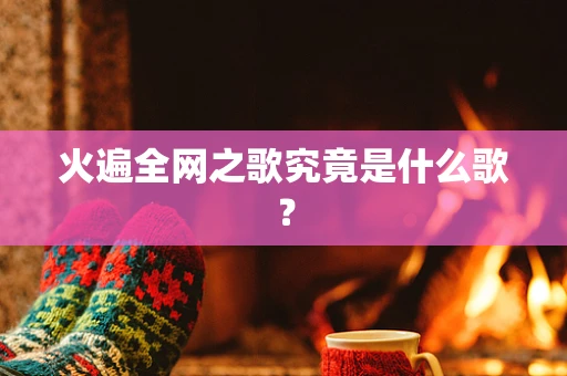 火遍全网之歌究竟是什么歌？