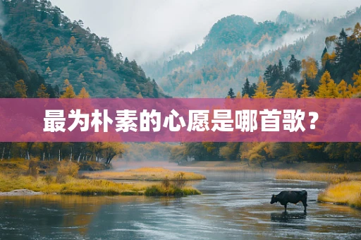 最为朴素的心愿是哪首歌？