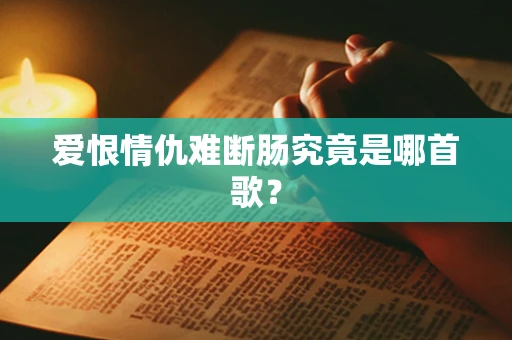 爱恨情仇难断肠究竟是哪首歌？