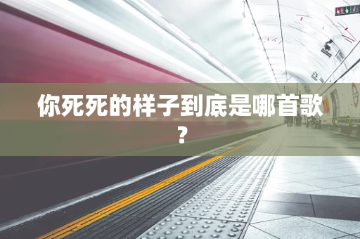 你死死的样子到底是哪首歌？