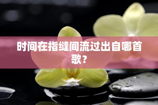 时间在指缝间流过出自哪首歌？