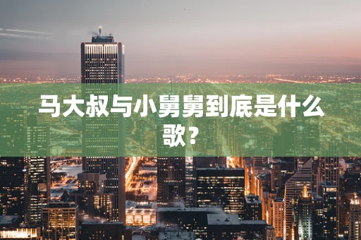 马大叔与小舅舅到底是什么歌？